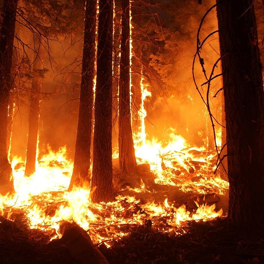 California Wildfires