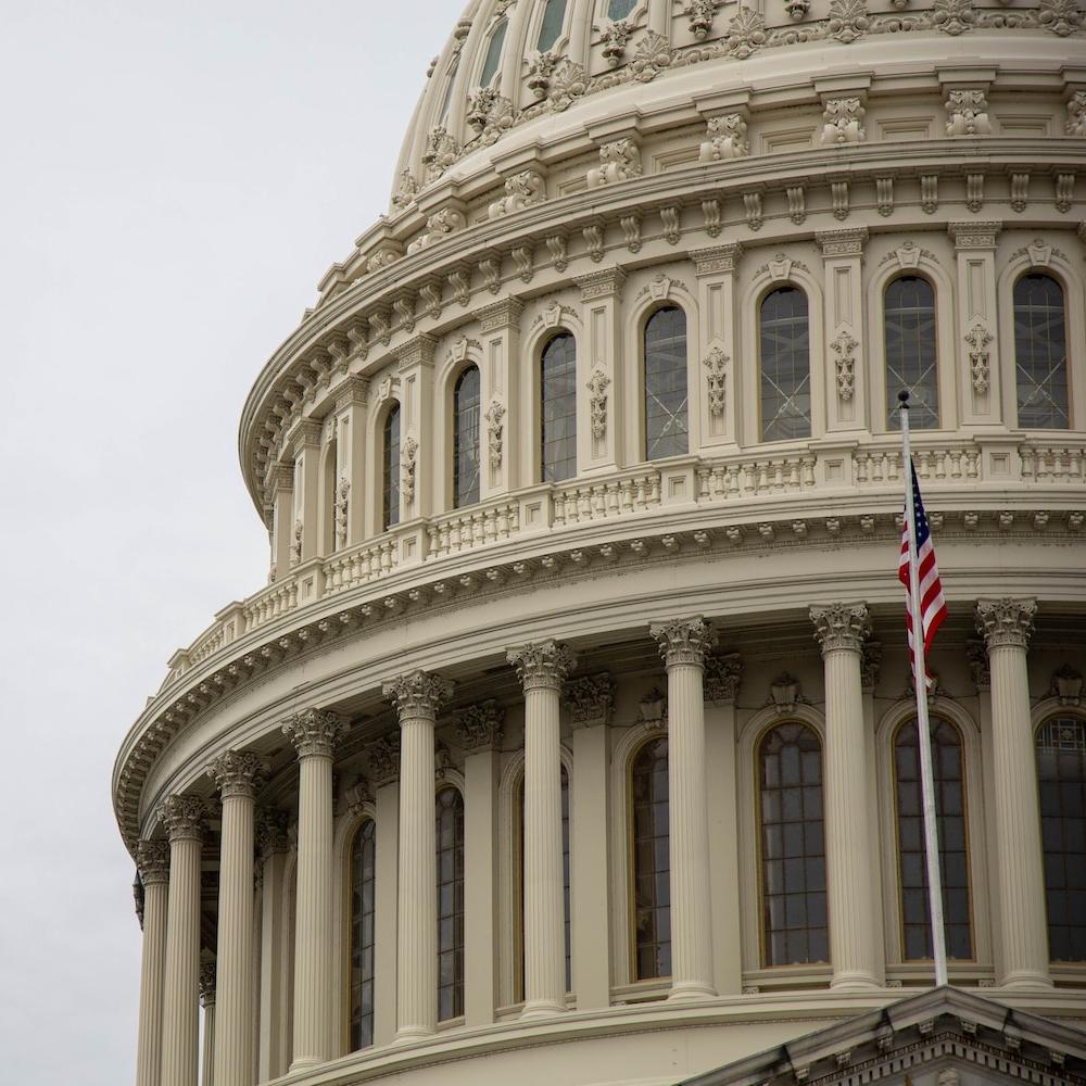 capital rotunda washington DC with american flag - business pushes back on anti ESG laws