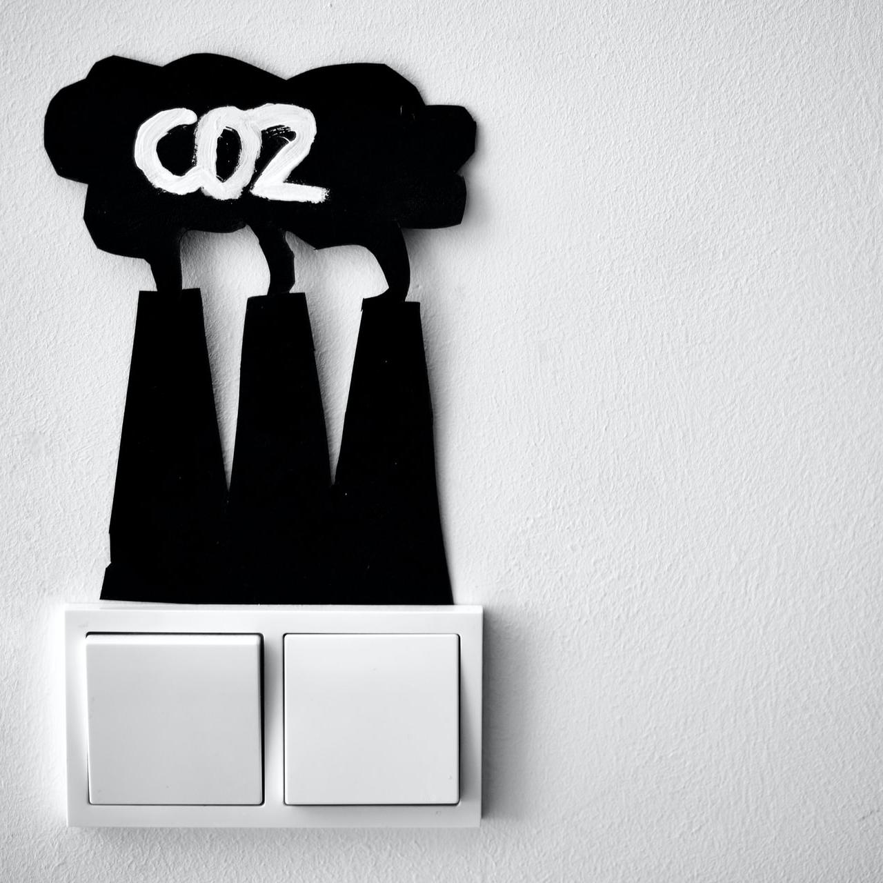carbon recycling