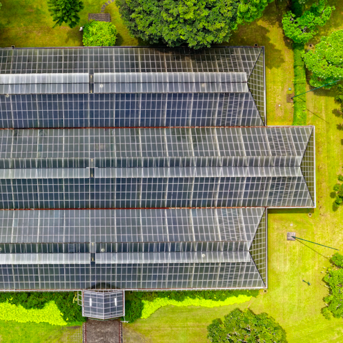 How can we remake the energy landscape in the U.S. to embrace a robust clean energy and decarbonization trajectory within a decade, and do so in the face of significant political headwinds at the federal level?