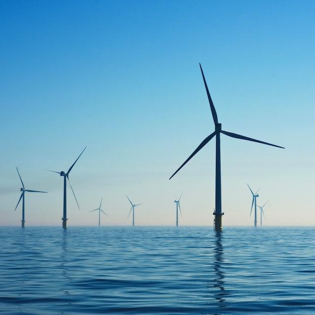 An offshore wind farm.