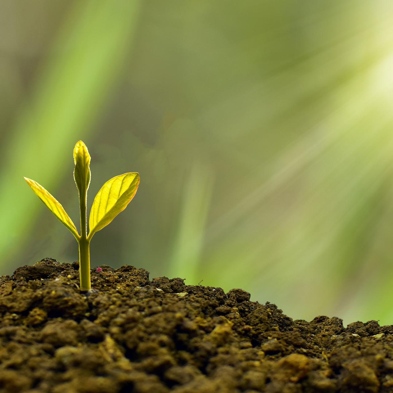 Climate Action