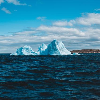 Climate Capitalism