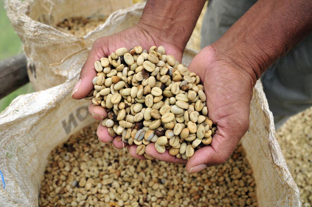 coffee-beans.jpg