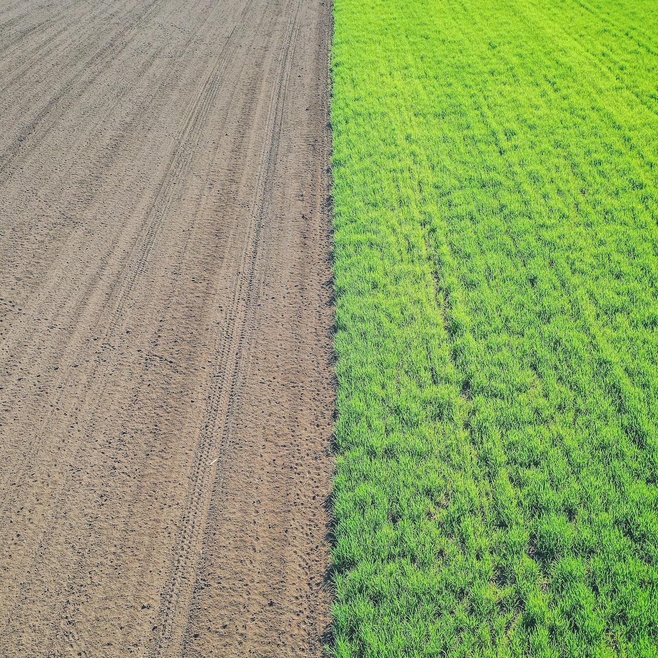 regenerative agriculture