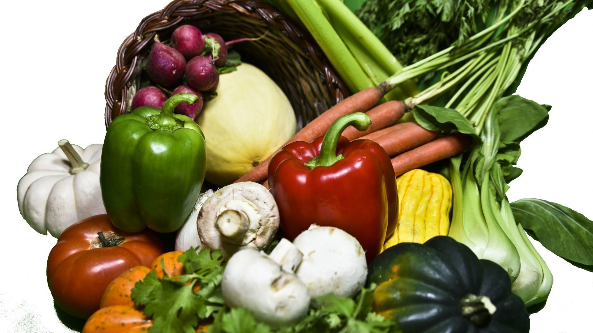 cornucopia-of-vegetables.jpg