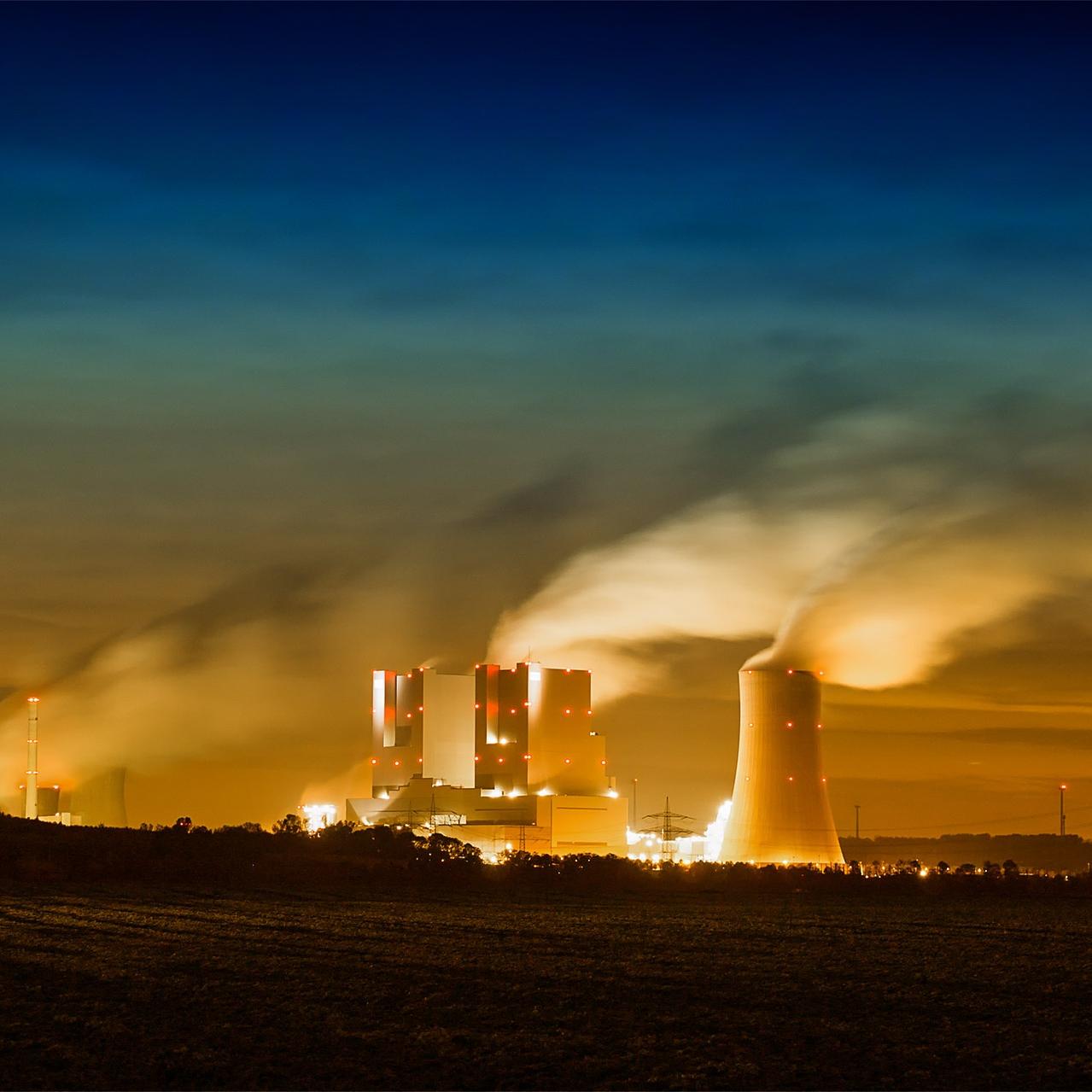 Coal