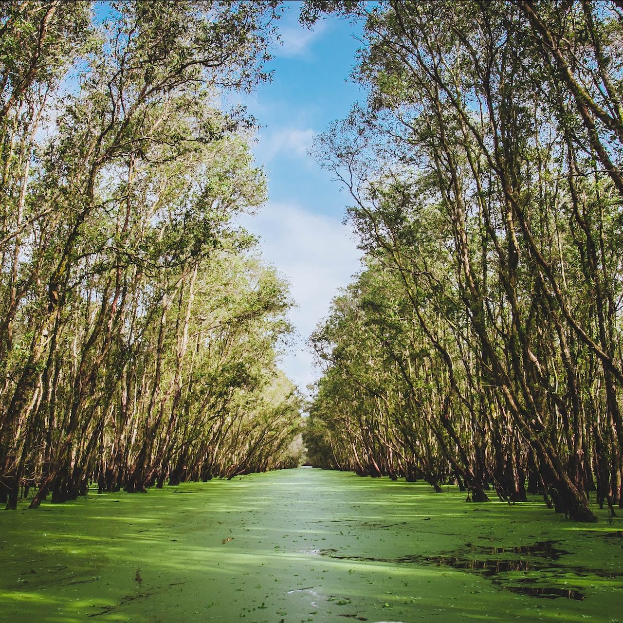 environmental reserves