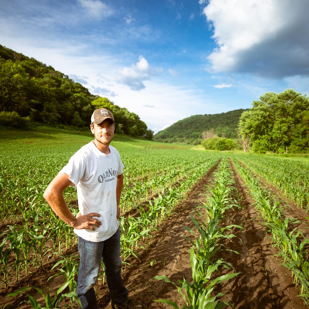 Farmworkers