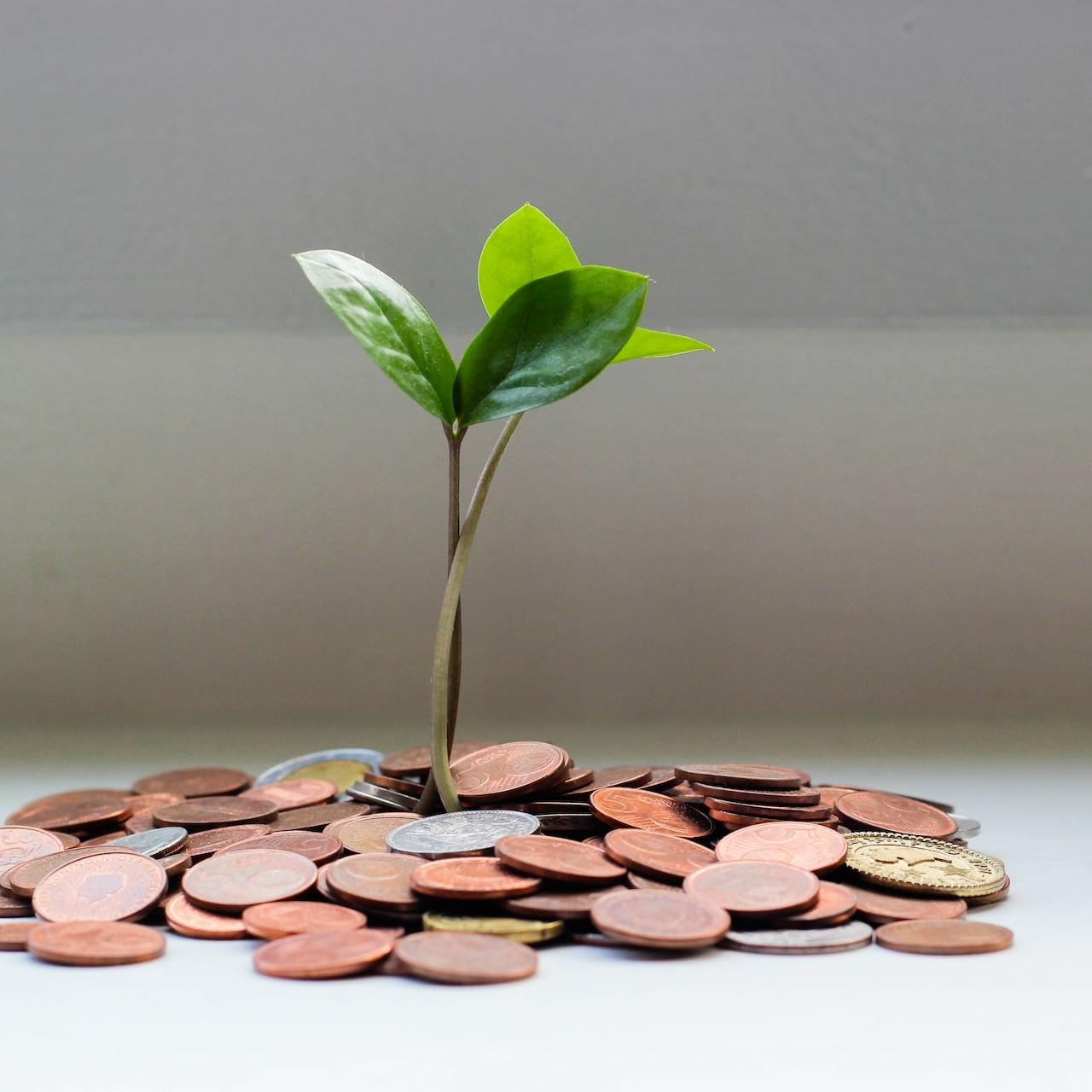 Financial Inclusion