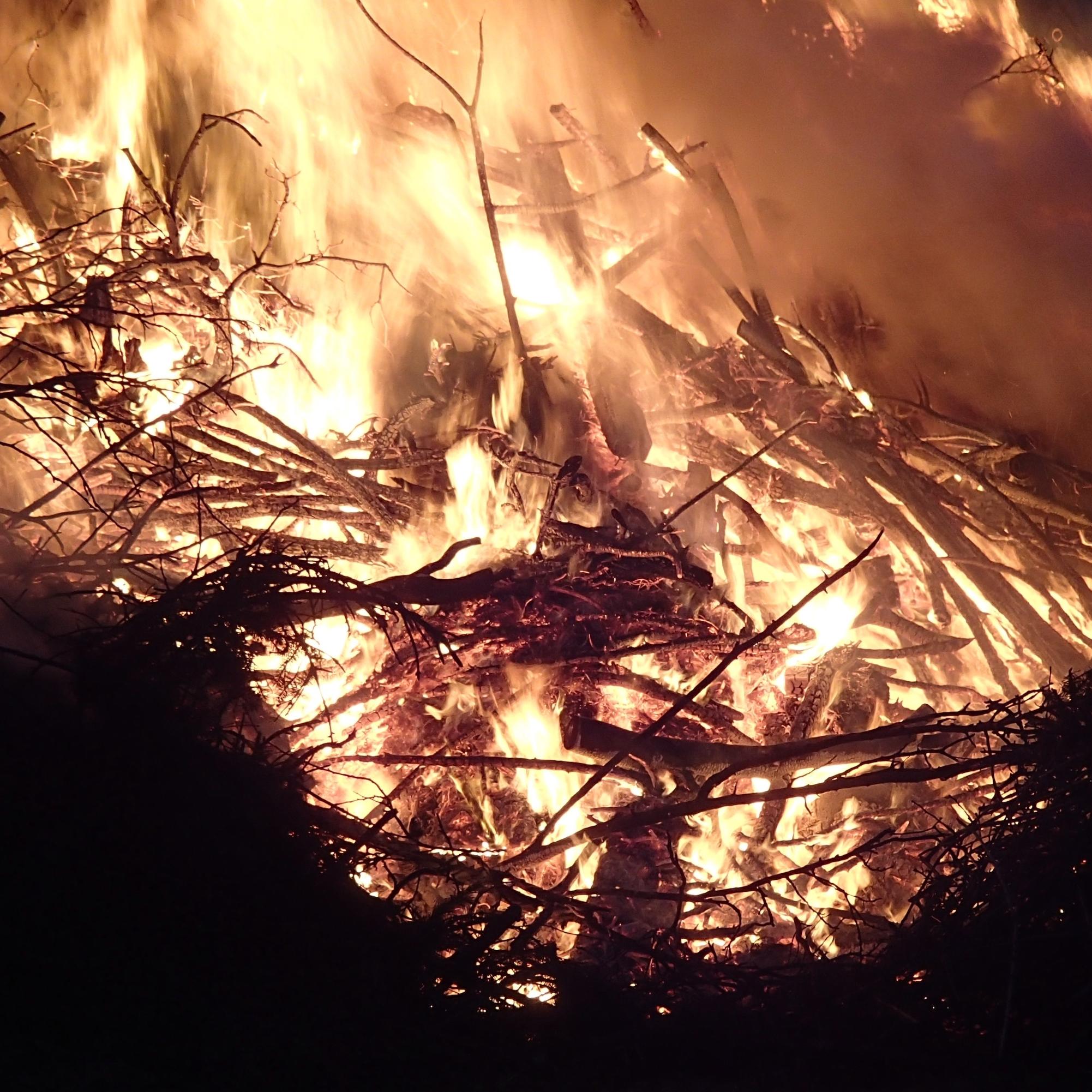 Amazon Fires