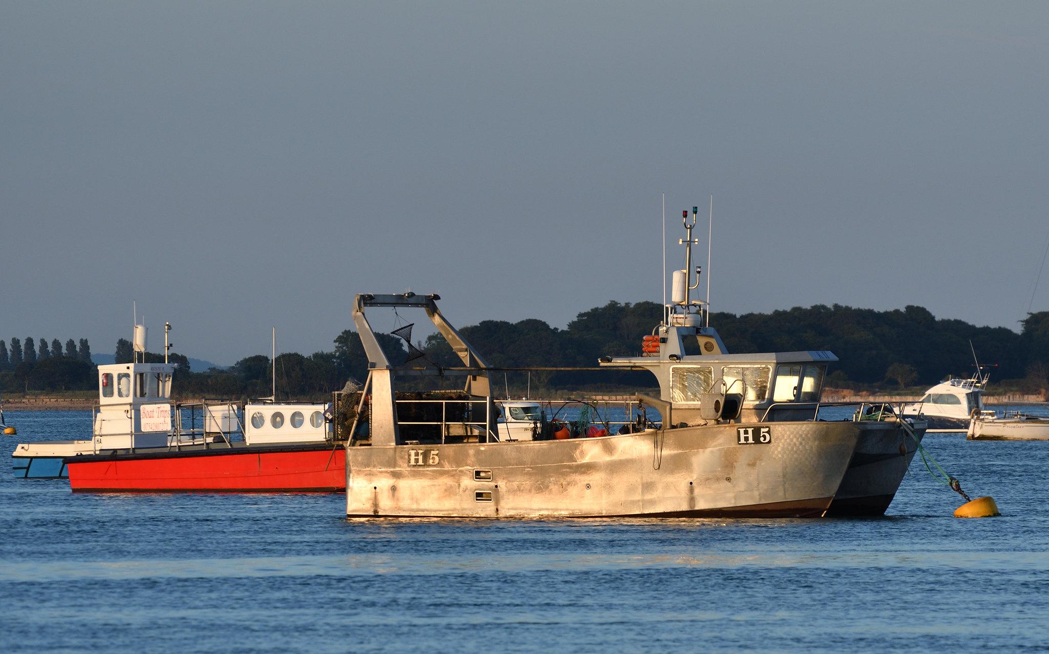illegal fishing