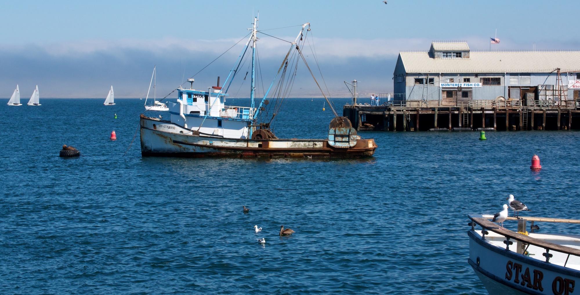sustainable seafood