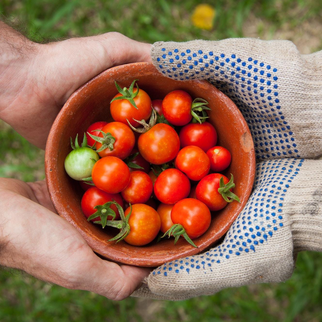 the future of food