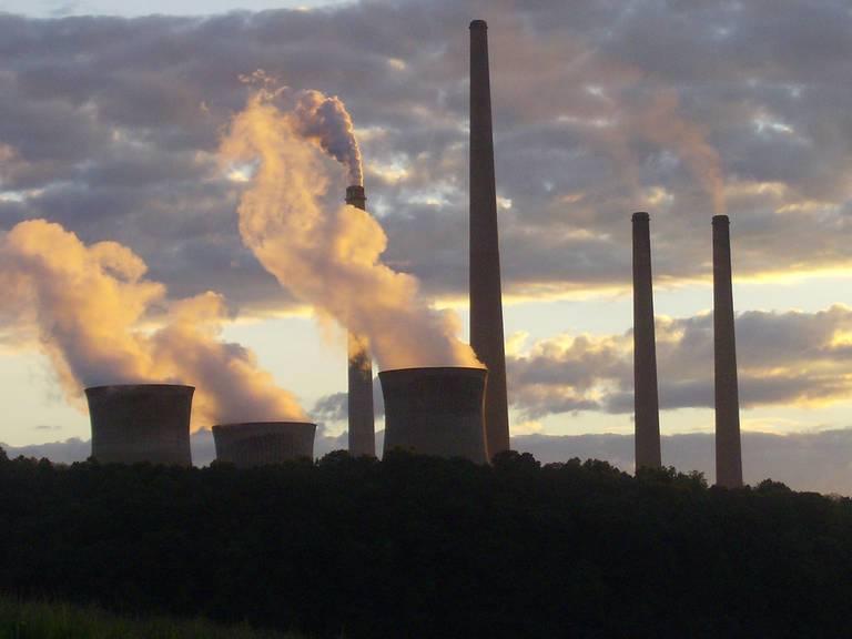fossil_fuel_plants_lady_lbrty.jpg