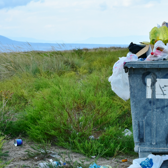 For the first time ever, major manufacturers have published data on their total volume of plastic packaging - offering rare insight on the breadth and depth of the global plastic problem, as well as a tool to keep companies accountable.
