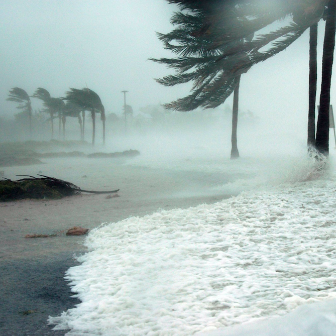 Natural Disasters