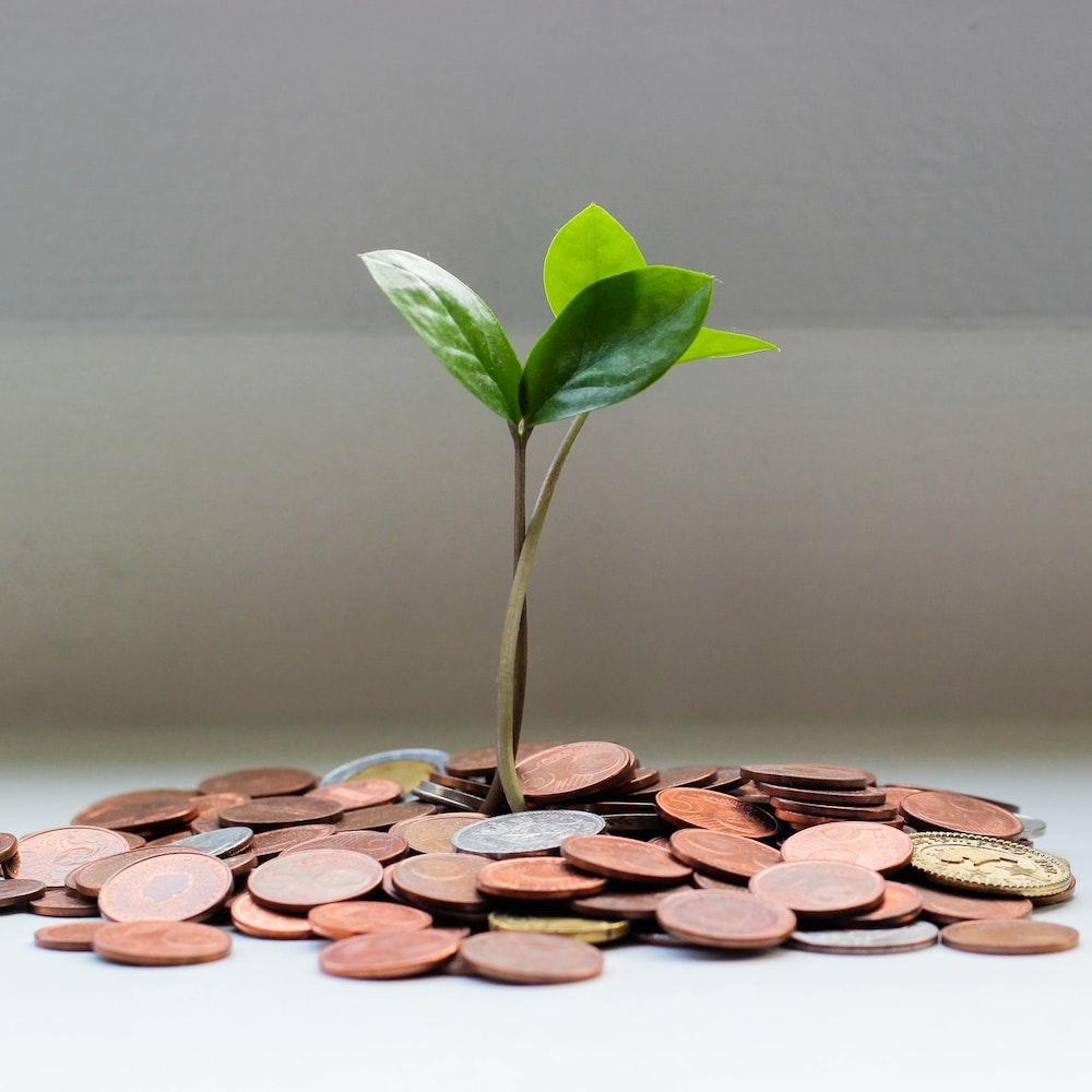 green capitalism