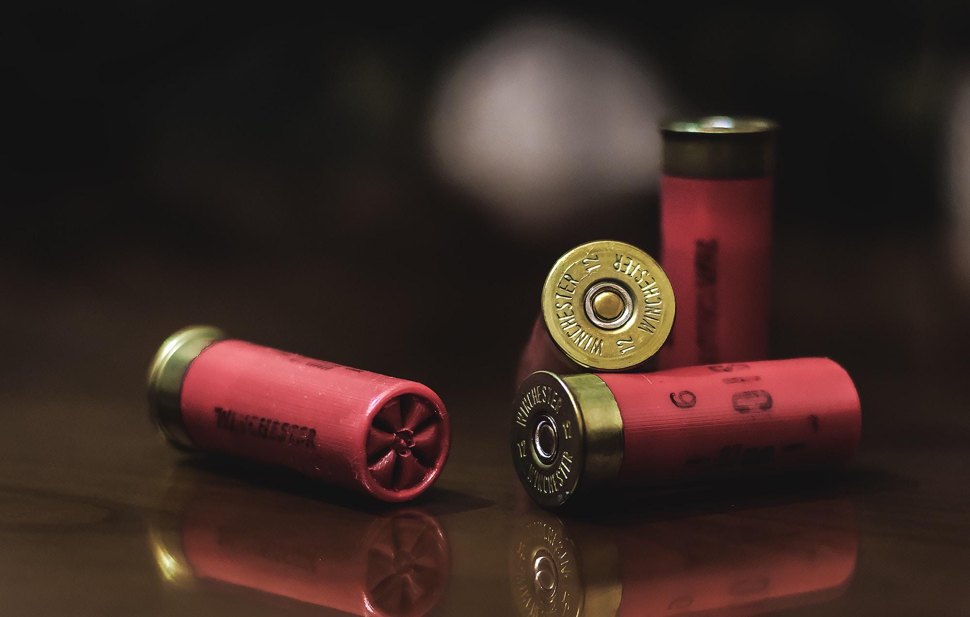 Speech and Guns in the Private Workplace