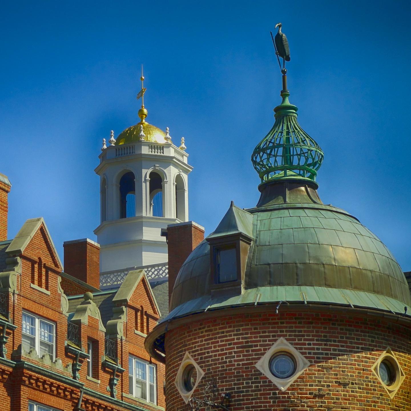 Harvard University