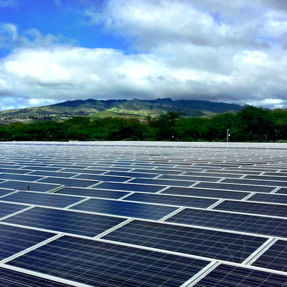 About 25 percent of power generation companies in America are currently led by women, several of whom have transformed these businesses' operations by providing clean power to customers.