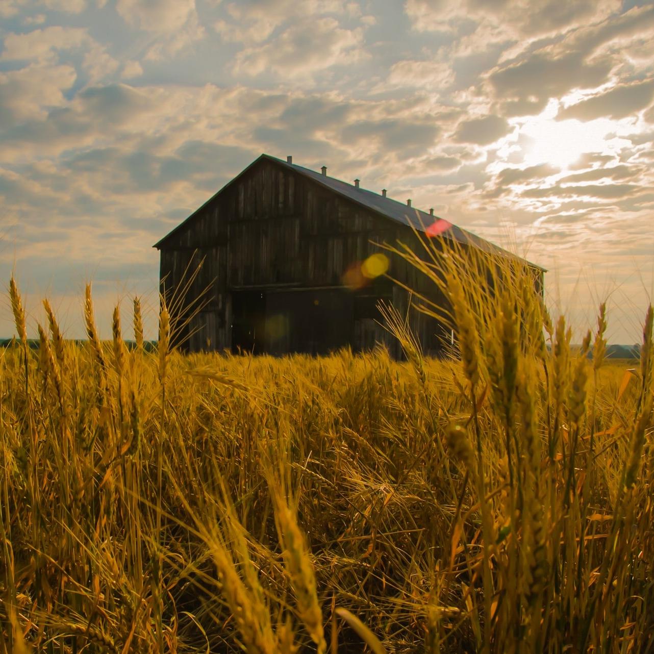 Agriculture