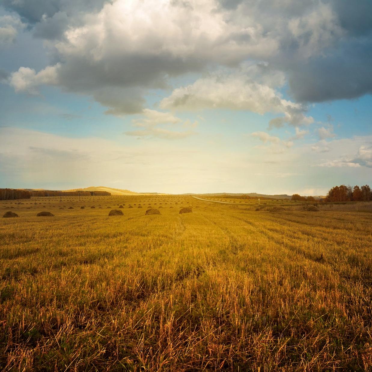 Sustainable Agriculture
