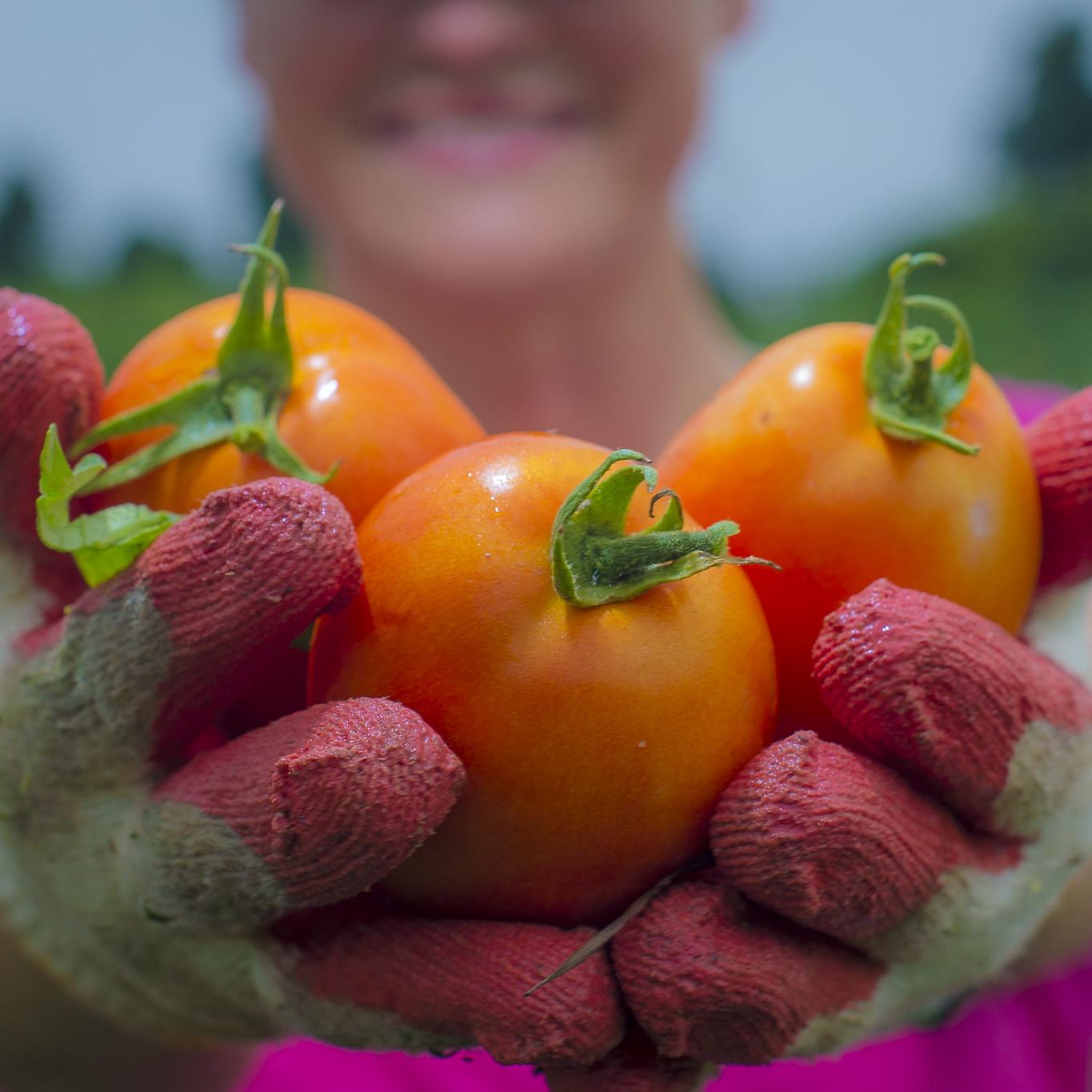 improve food security 