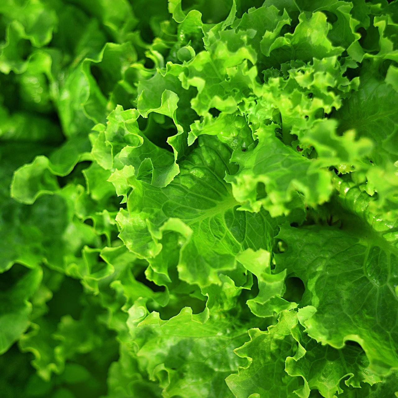 Leafy Greens