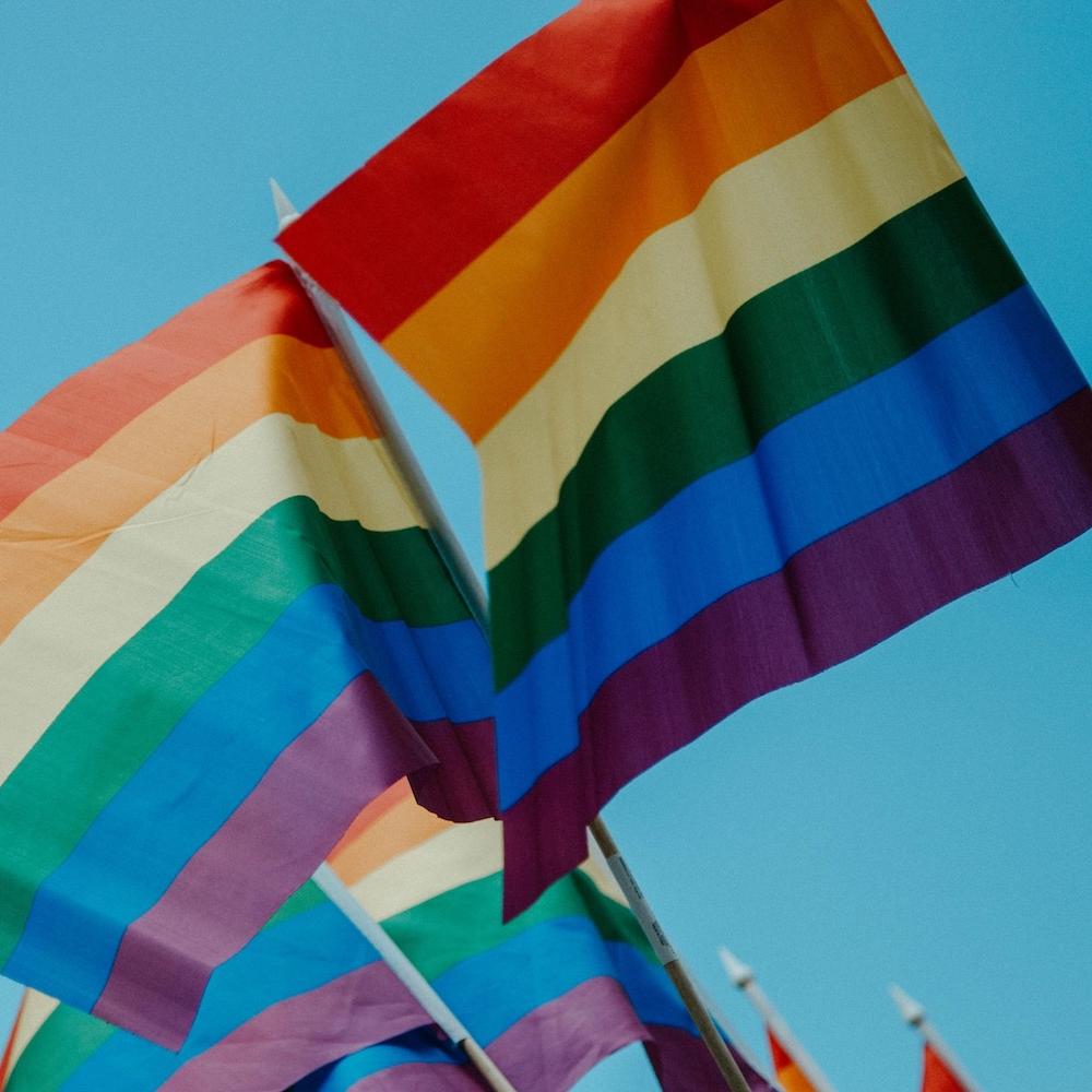 lgbtq+ pride flags against blue sky background