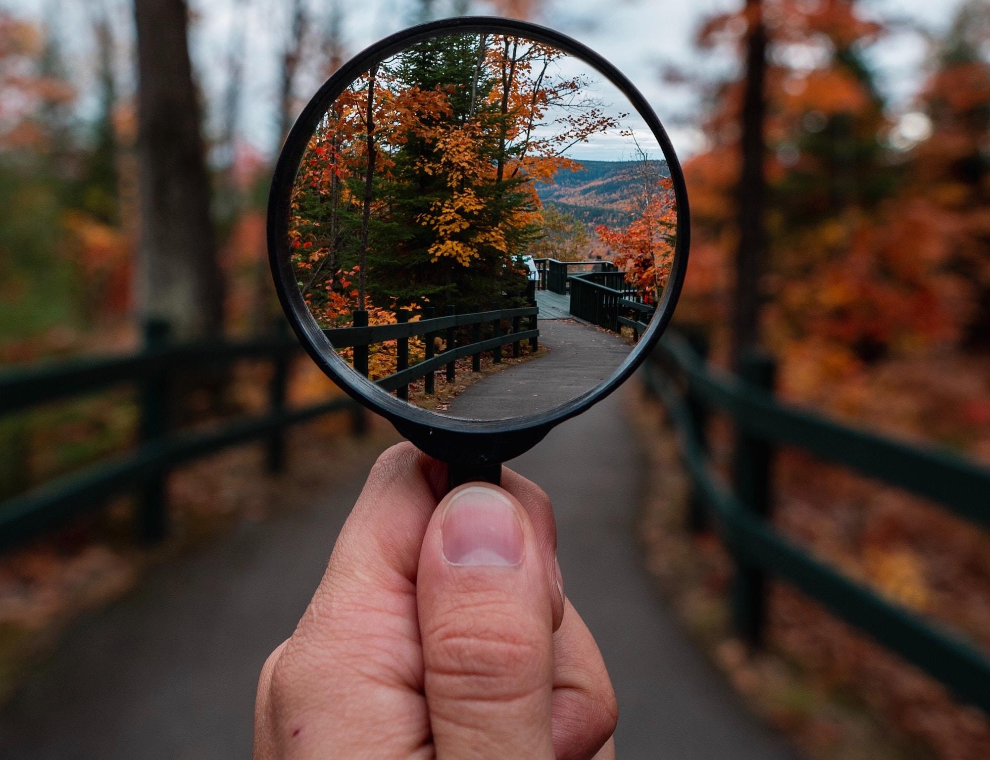 magnifying glass
