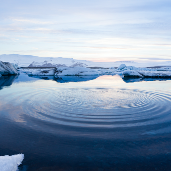 In the corporate responsibility space, lists or rankings can help stakeholders assess ESG performance and identify leaders from among those making environmental commitments – and can also help companies evaluate their own performance and attract top talent.