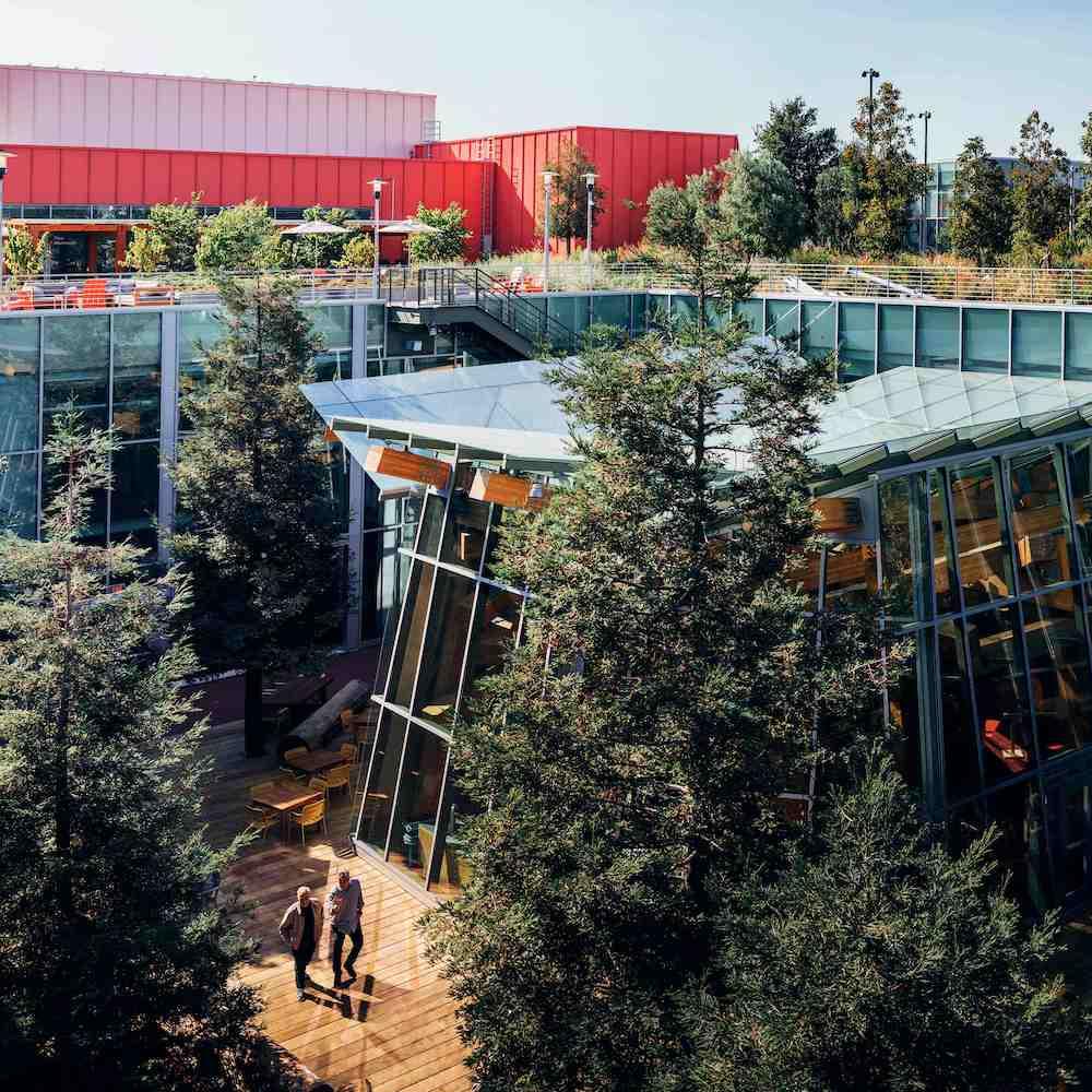 meta menlo park headquarters Town Square with trees and green roof - offices - biodiversity