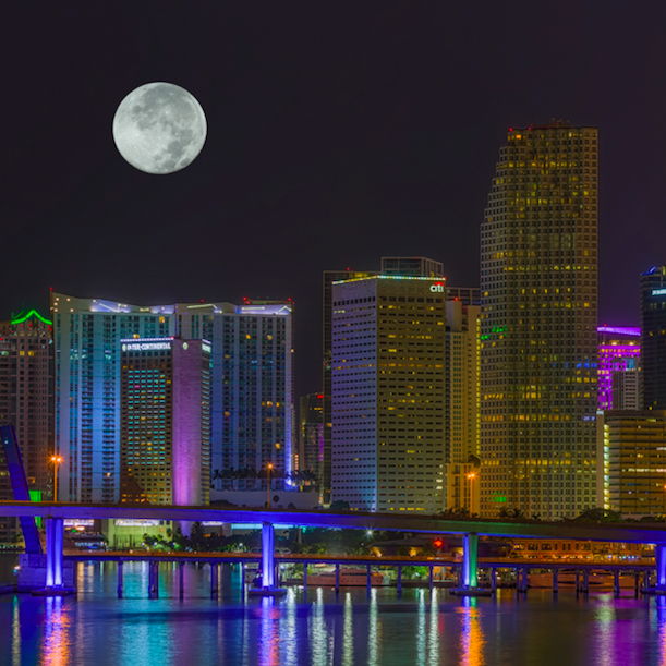 The University of Miami rolled out a new graduate program offering the first degree in sustainable business in the U.S. that is also certified in STEM.