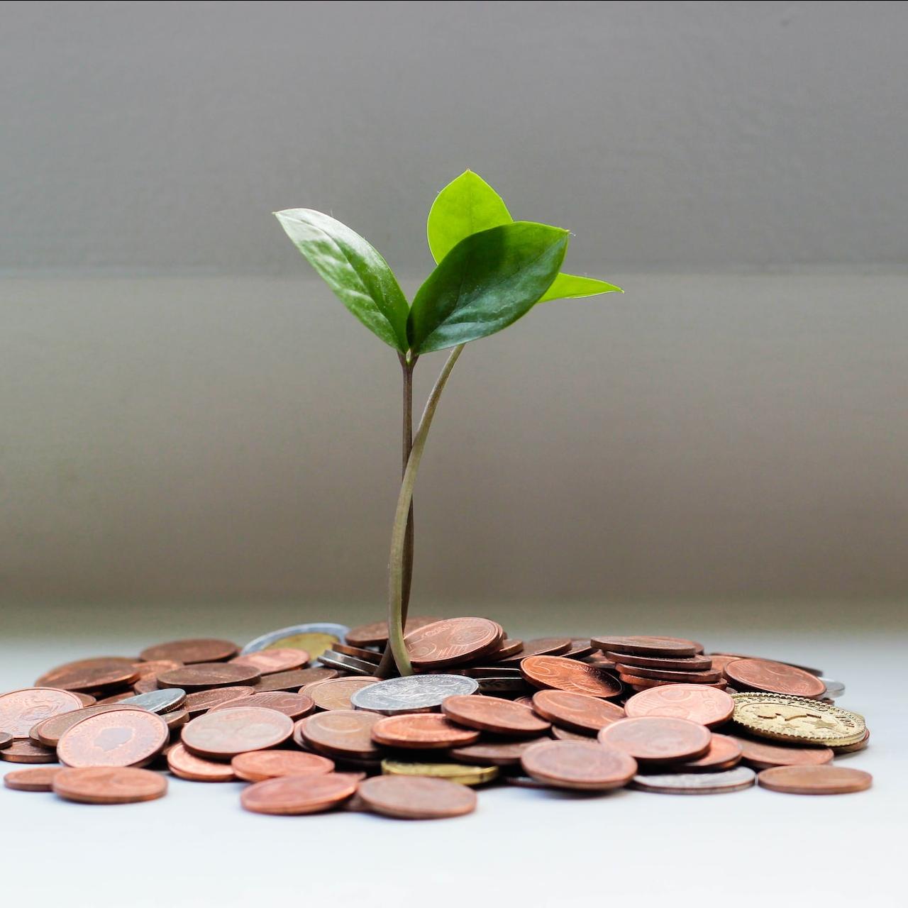 clean money degrowth
