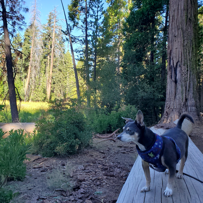 Labor Day Weekend