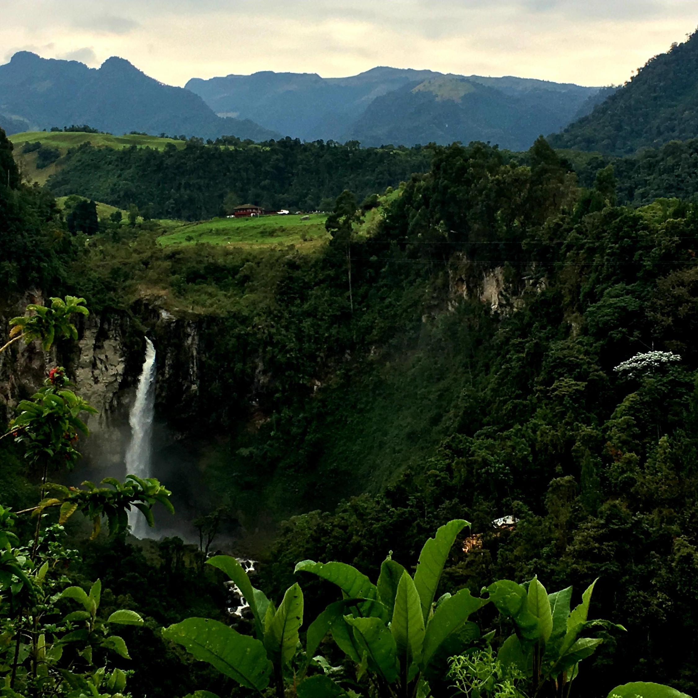 nature as a Global Stimulus