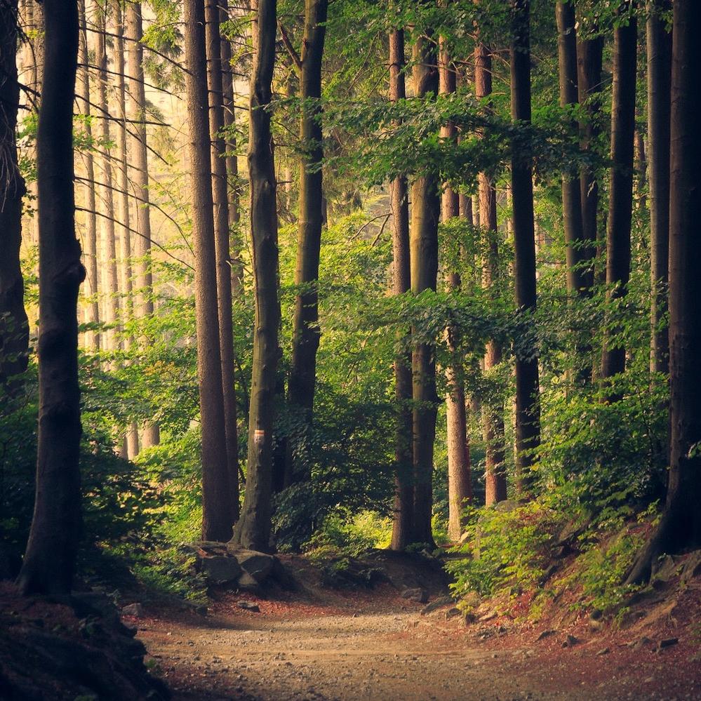 nature natural capital