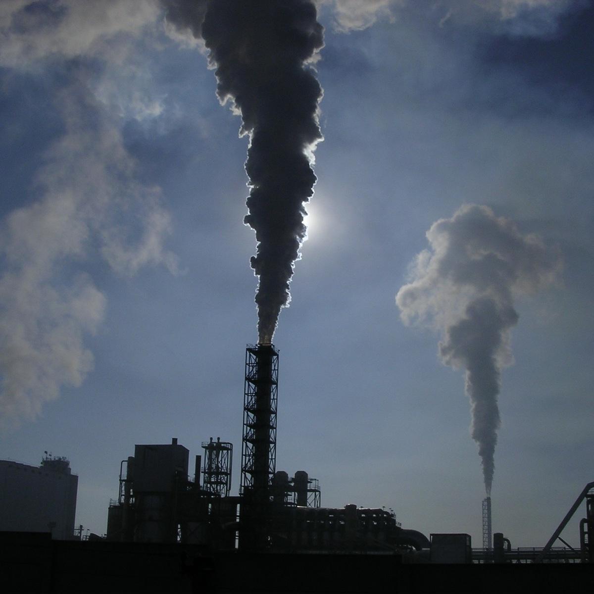 Net Zero