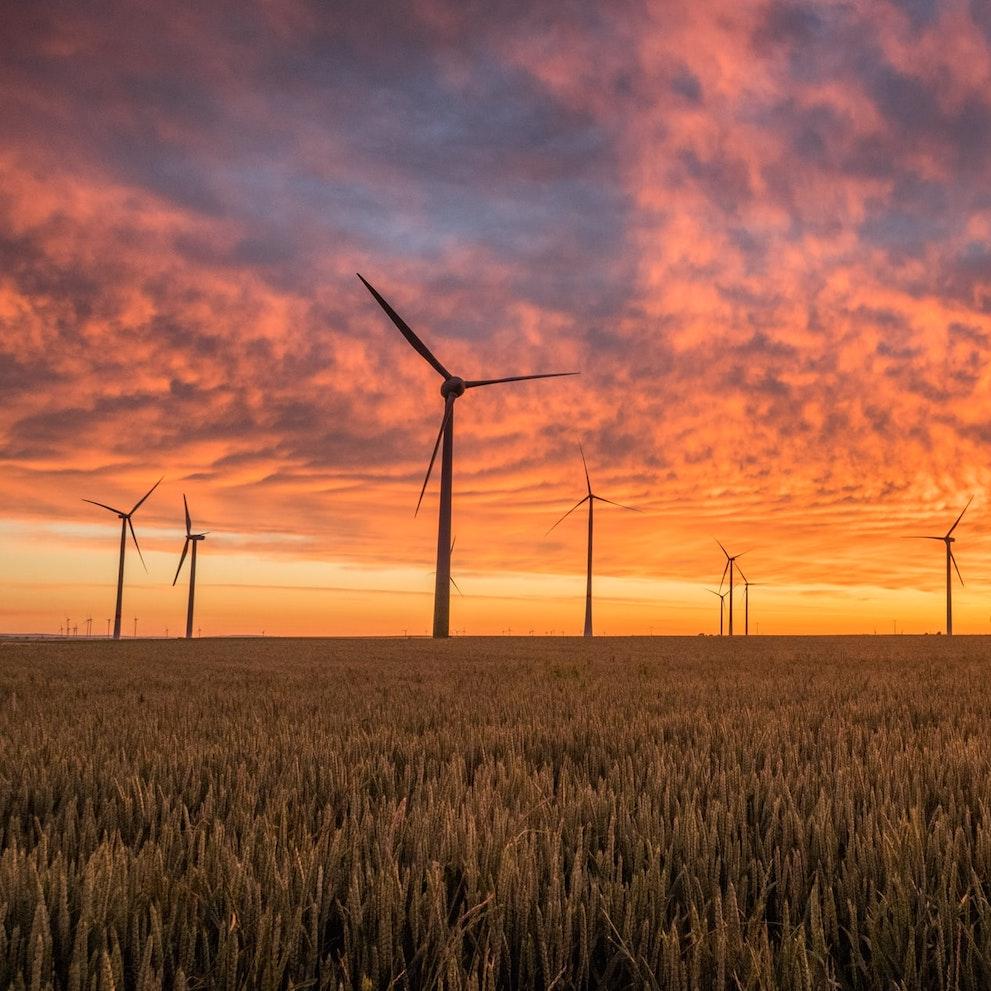 net zero emissions