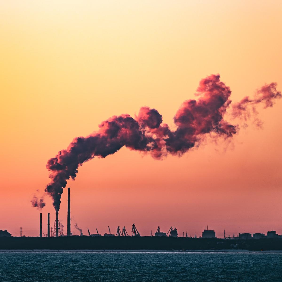 net zero