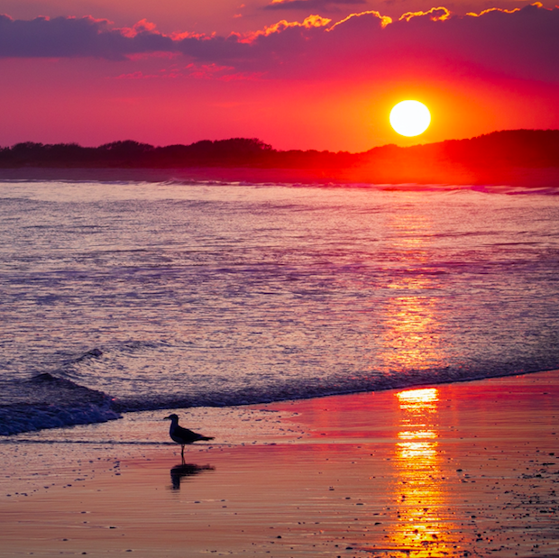 New Jersey