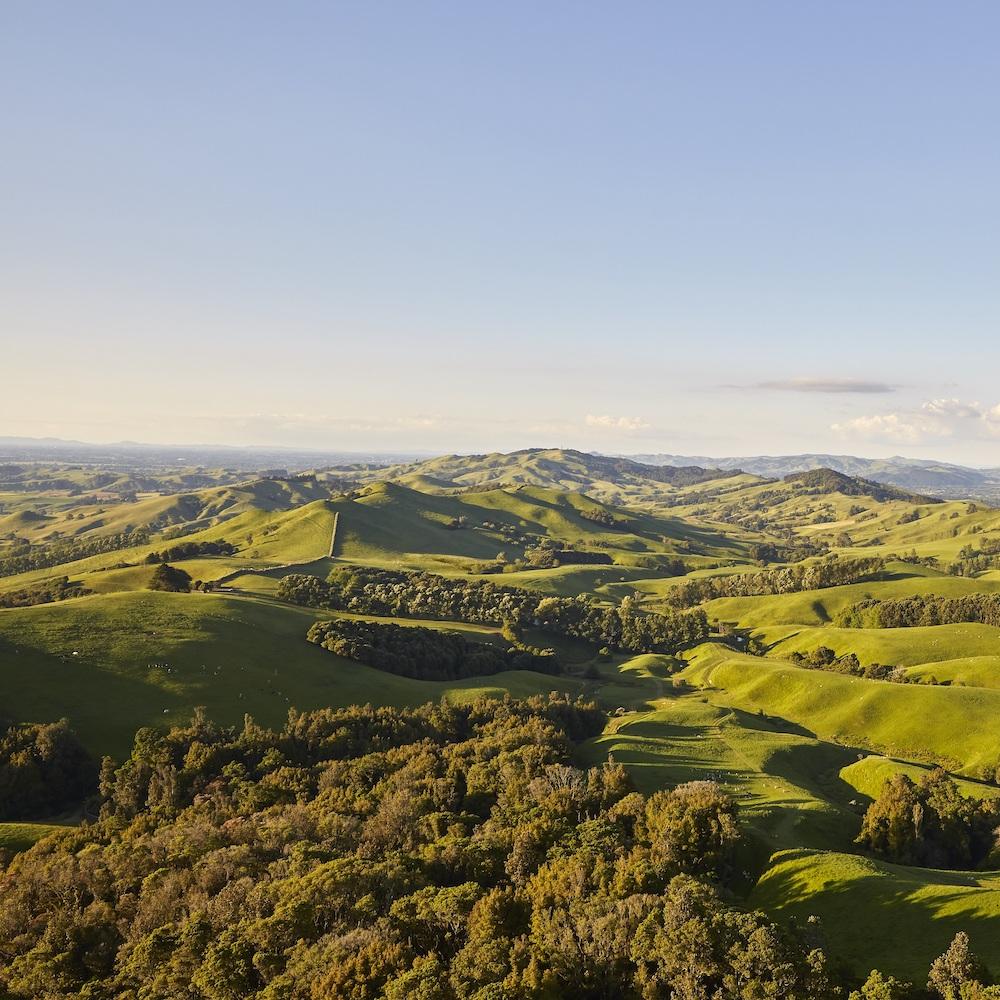 new zealand grasslands and rolling hills - sustainable agriculture