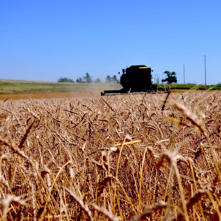 regenerative agriculture
