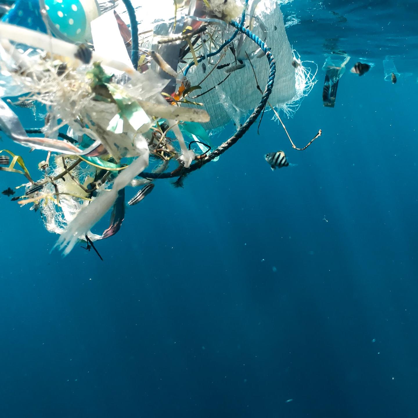 Ocean Plastic