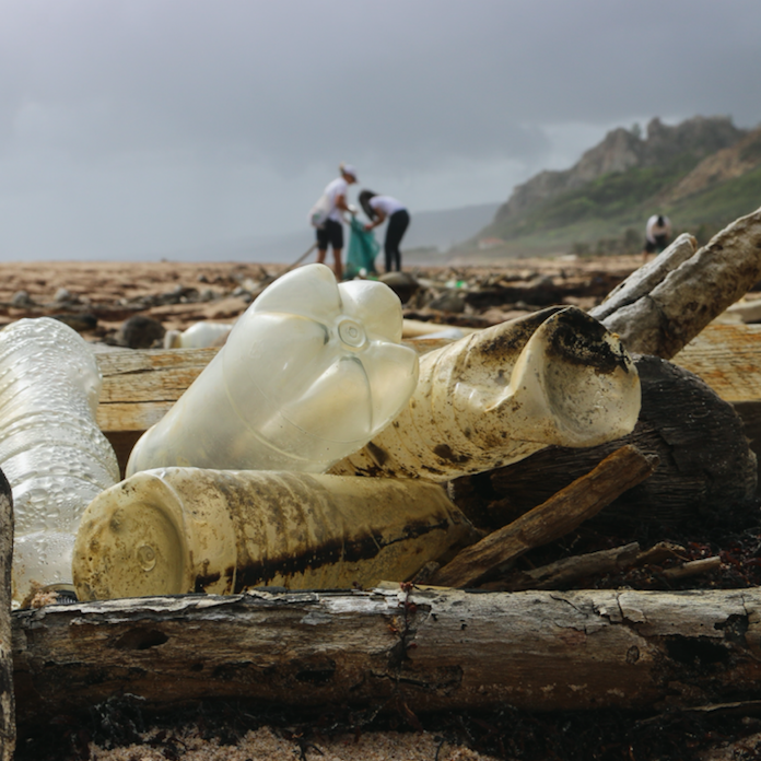 Ocean Plastic