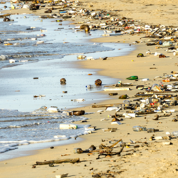 The massive scale of global ocean plastic pollution is daunting, but collective action can make a difference in more ways than one.