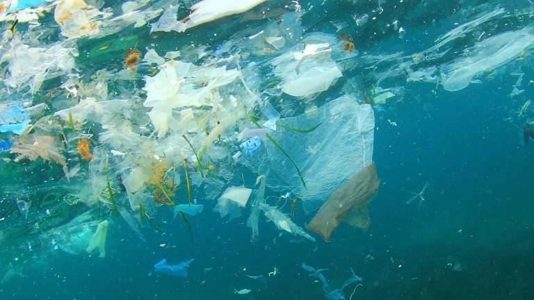 ocean-plastics.jpg