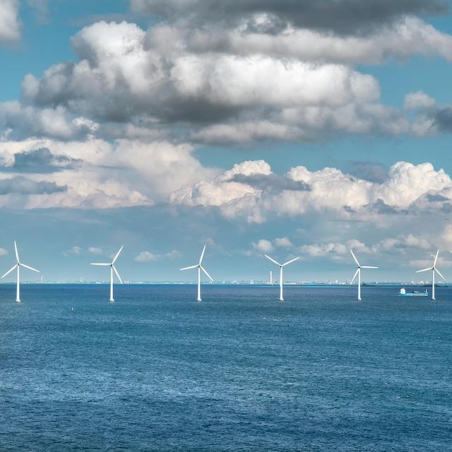 A line of offshore wind turbines.