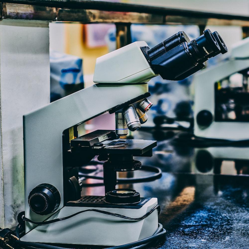 A row of microscopes. 